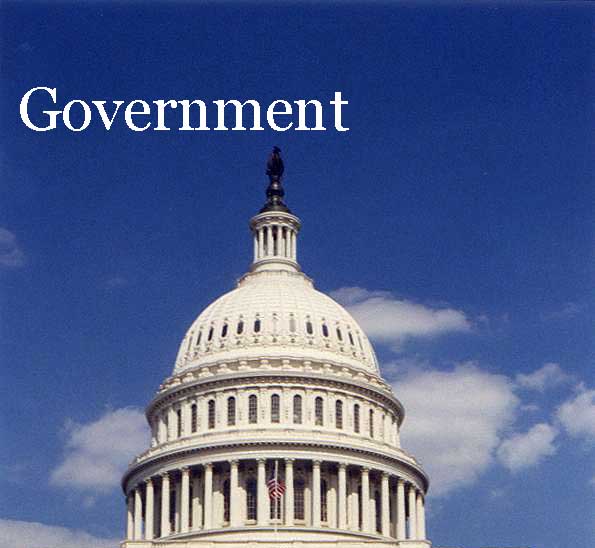 Govt icon